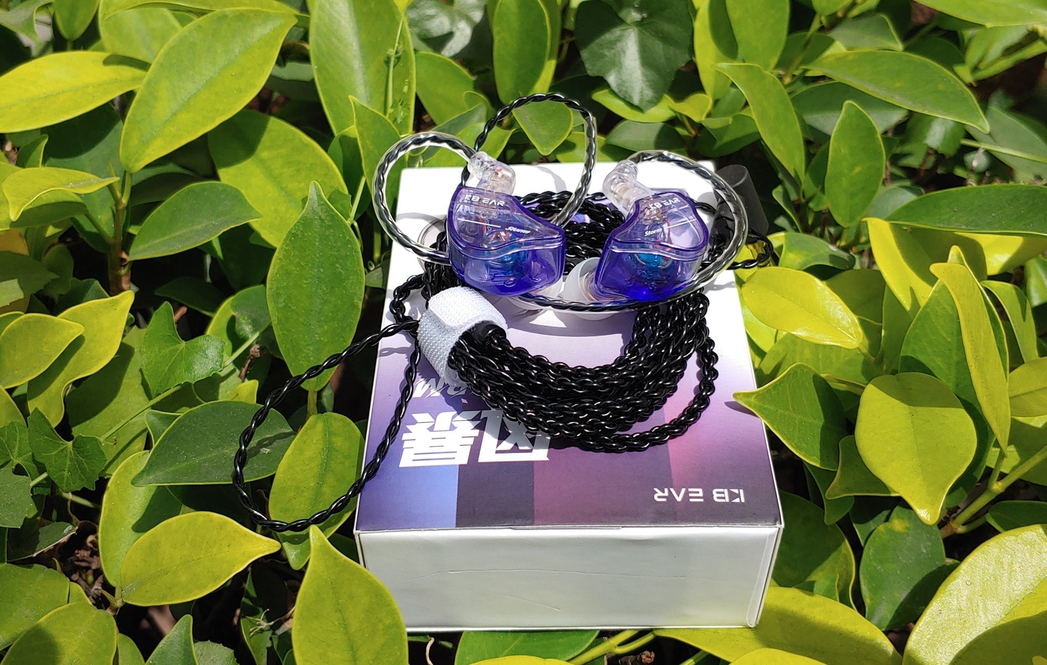 KBEAR STORM: Roaring Thunder