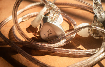 KZ Castor-A Budget Beast?