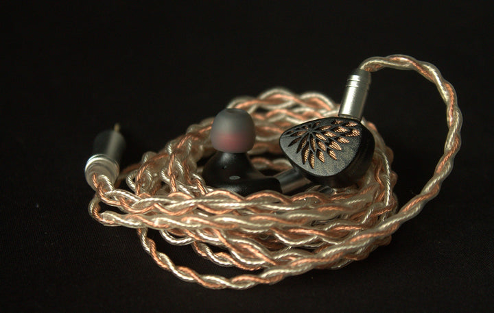 Tangzu YuXuanJi: The Porsche Priced Like A Ford Focus IEM!