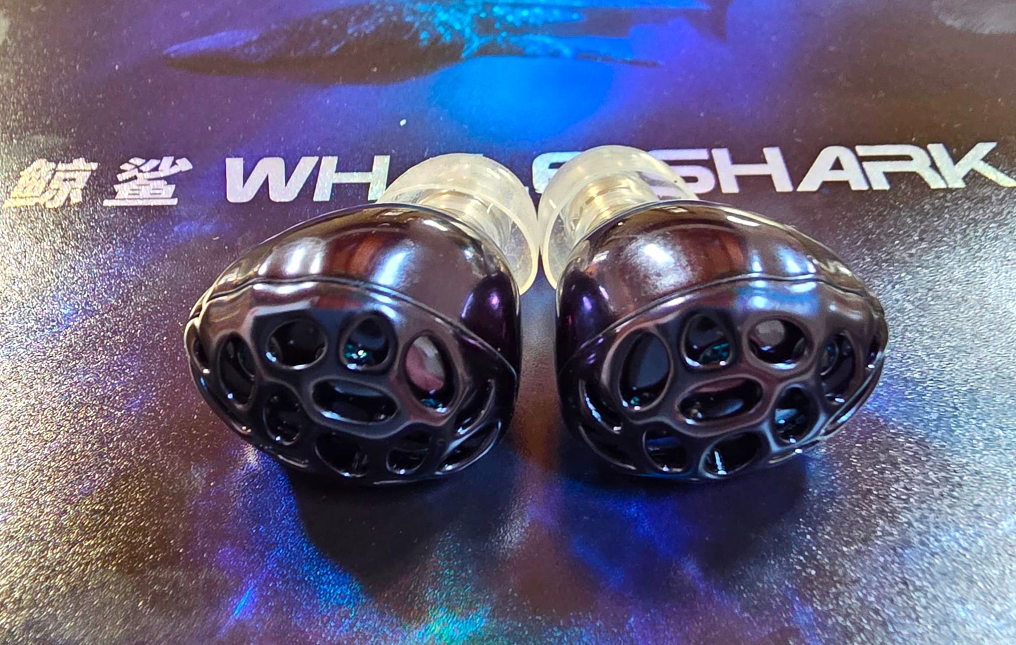 TRN Whale Shark: Do These Go Ocean-deep or Are They just Playing in the Shallows?