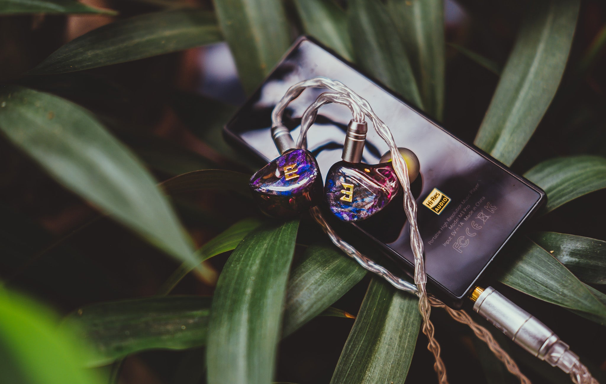 TRI Starsea: The Rising Star!