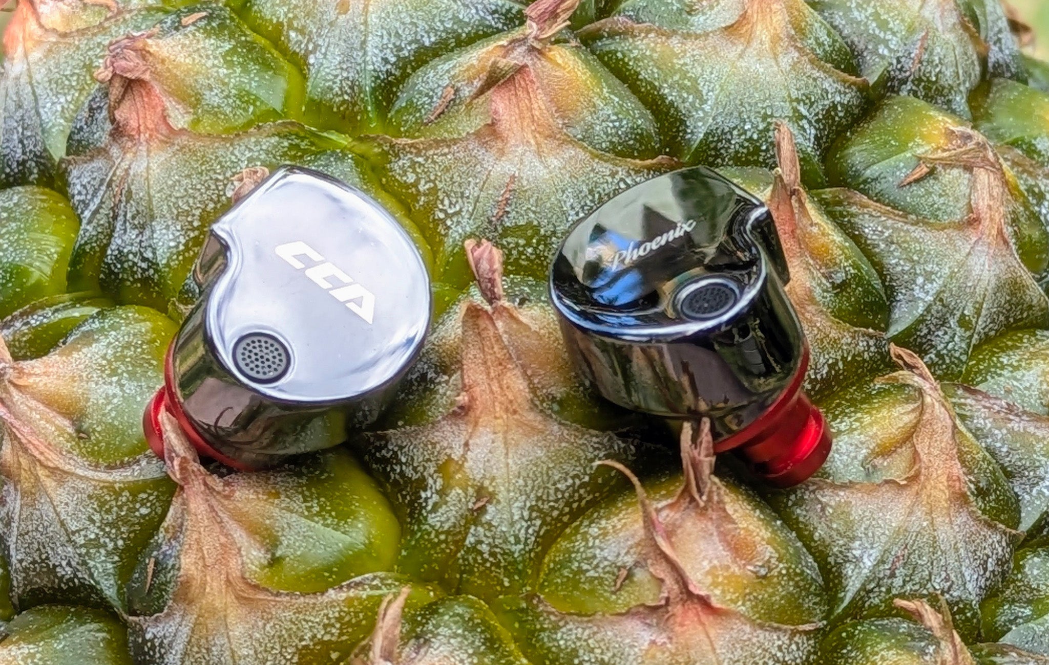 CCA Phoenix Budget King Hitter