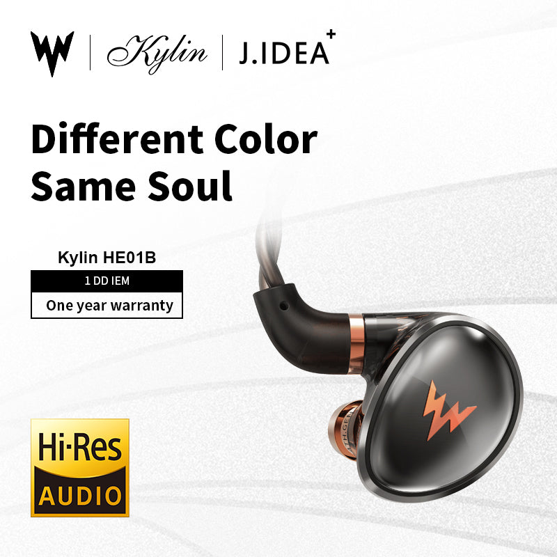 【Whizzer Kylin HE01B】1DD In-Ear Monitor with 5NSPC Detachable Cable | Free Shipping