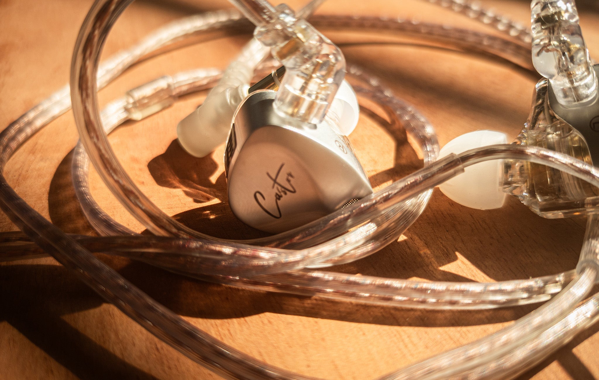 KZ Castor-A Budget Beast?