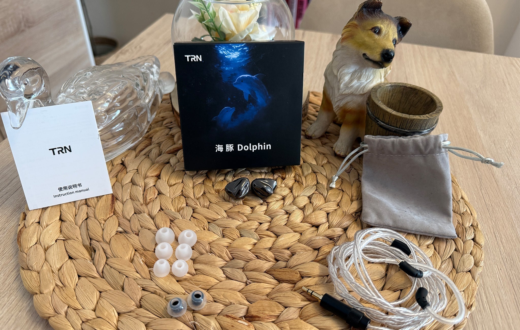 TRN Dolphin: Sailing Through Crystal-clear Marine Waters.