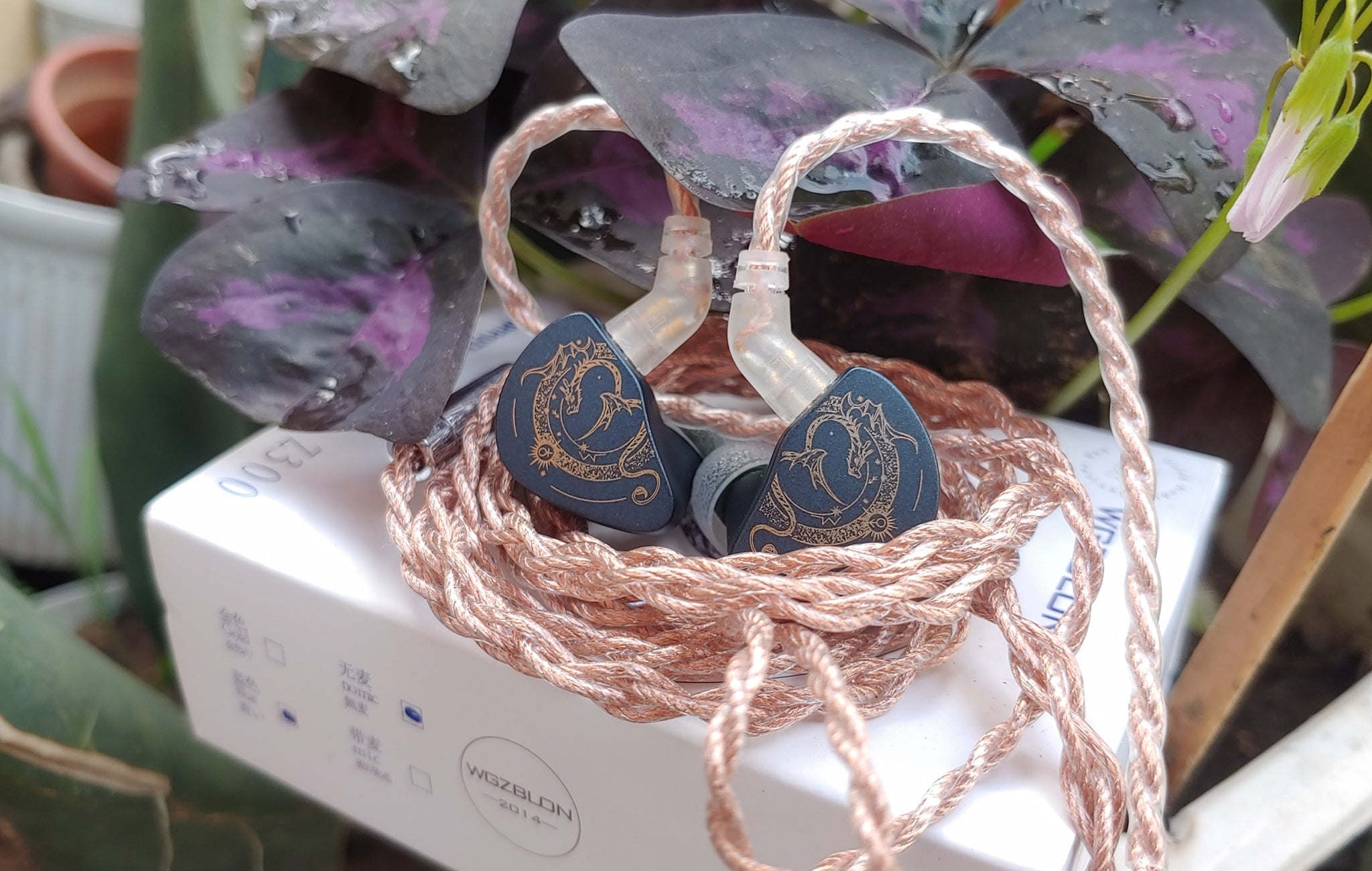 BLON Z300: An Heir To The Throne?