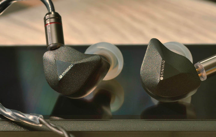 Tangzu Fudu Verse 1: Premium Ear Tips? IEM? Why not Both?